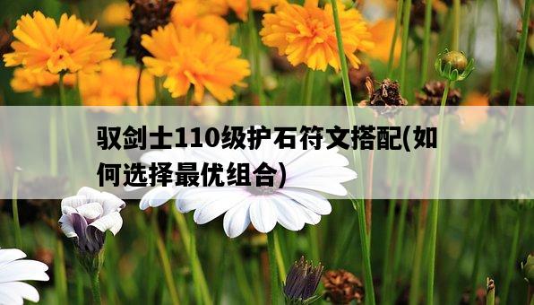 馭劍士110級護石符文搭配，如何選擇最優組合-圖1
