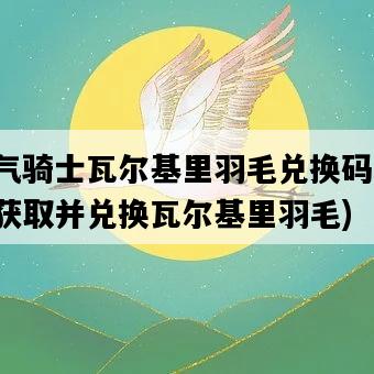 元氣騎士瓦爾基里羽毛兌換碼，如何獲取并兌換瓦爾基里羽毛-圖1