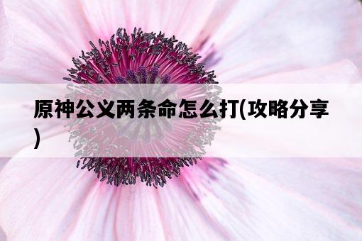 原神公義兩條命怎么打，攻略分享-圖1