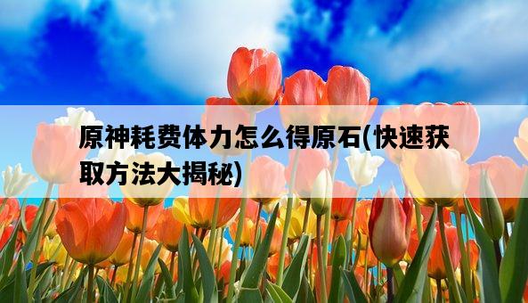 原神耗費體力怎么得原石，快速獲取方法大揭秘-圖1