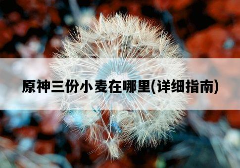 原神三份小麥在哪里，詳細指南-圖1