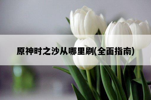 原神時之沙從哪里刷,全面指南-圖1 原神時之沙從哪里刷,全面指南-圖1