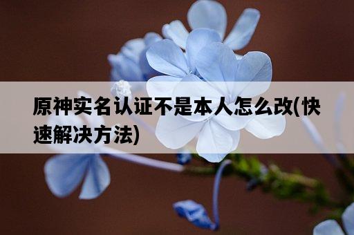 原神實名認證不是本人怎么改，快速解決方法-圖1