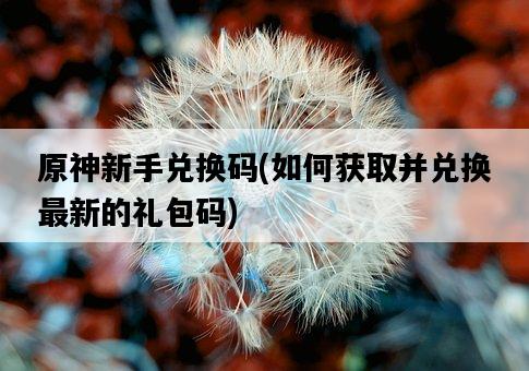 原神新手兌換碼，如何獲取并兌換最新的禮包碼-圖1