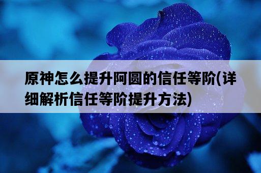 原神怎么提升阿圓的信任等階,詳細解析信任等階提升方法-圖1 原神怎么提升阿圓的信任等階,詳細解析信任等階提升方法-圖1