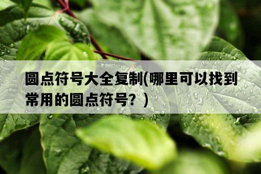 圓點符號大全復制，哪里可以找到常用的圓點符號？-圖1