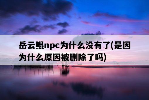 岳云鯤npc為什么沒有了，是因為什么原因被刪除了嗎-圖1