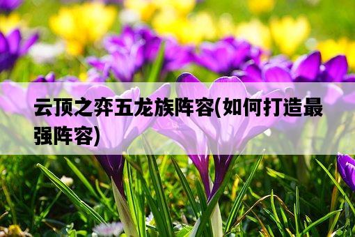 云頂之弈五龍族陣容,如何打造最強陣容-圖1 云頂之弈五龍族陣容,如何打造最強陣容-圖1