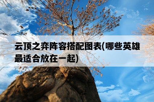 云頂之弈陣容搭配圖表，哪些英雄最適合放在一起-圖1