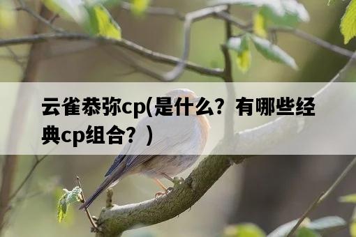 云雀恭彌cp，是什么？有哪些經典cp組合？-圖1
