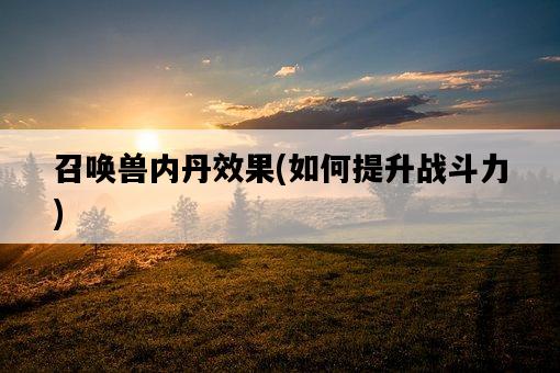 召喚獸內丹效果，如何提升戰斗力-圖1