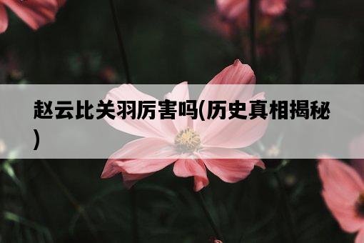 趙云比關羽厲害嗎，歷史真相揭秘-圖1