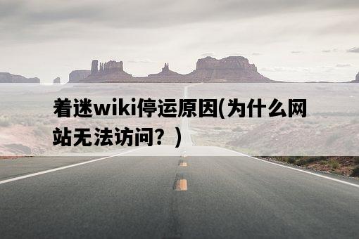 著迷wiki停運原因，為什么網站無法訪問？-圖1