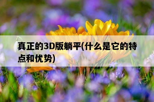 真正的3D版躺平，什么是它的特點和優勢-圖1