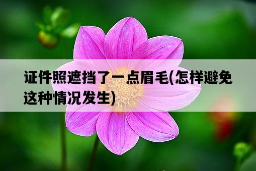 證件照遮擋了一點眉毛，怎樣避免這種情況發生-圖1