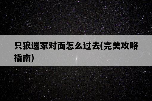 只狼遺冢對面怎么過去，完美攻略指南-圖1