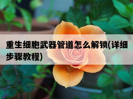 重生細胞武器管道怎么解鎖，詳細步驟教程-圖1