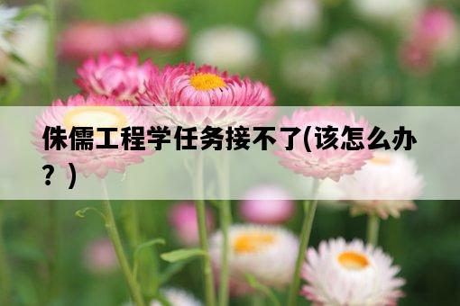 侏儒工程學任務接不了，該怎么辦？-圖1