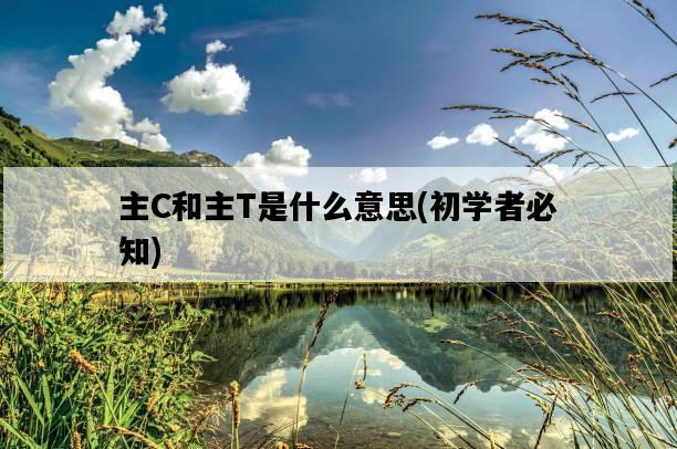 主C和主T是什么意思，初學者必知-圖1