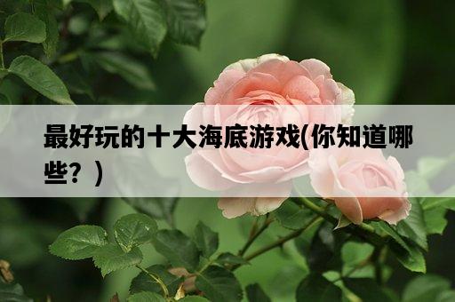 最好玩的十大海底游戲，你知道哪些？-圖1