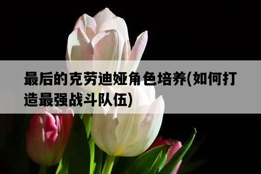 最后的克勞迪婭角色培養，如何打造最強戰斗隊伍-圖1