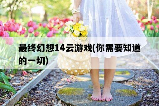 最終幻想14云游戲，你需要知道的一切-圖1