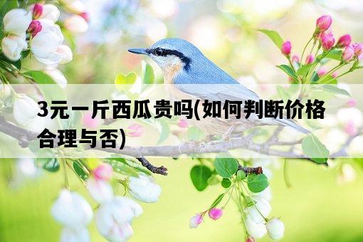 3元一斤西瓜貴嗎，如何判斷價格合理與否-圖1