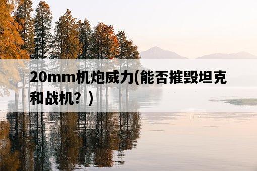 20mm機炮威力，能否摧毀坦克和戰機？-圖1