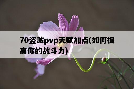 70盜賊pvp天賦加點，如何提高你的戰斗力-圖1