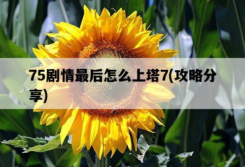 75劇情最后怎么上塔7，攻略分享-圖1