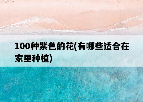 100種紫色的花,有哪些適合在家里種植-圖1 100種紫色的花,有哪些適合在家里種植-圖1