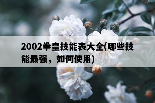 2002拳皇技能表大全,哪些技能最強,如何使用-圖1 2002拳皇技能表大全,哪些技能最強,如何使用-圖1