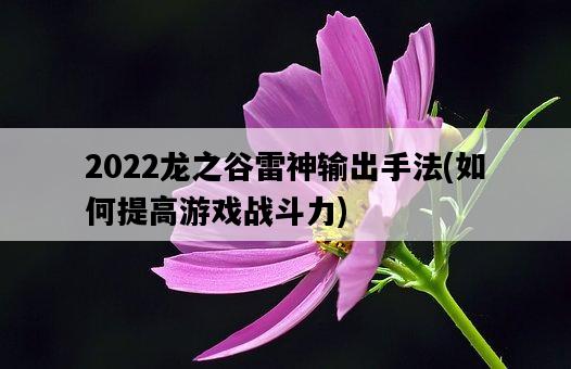 2022龍之谷雷神輸出手法，如何提高游戲戰斗力-圖1