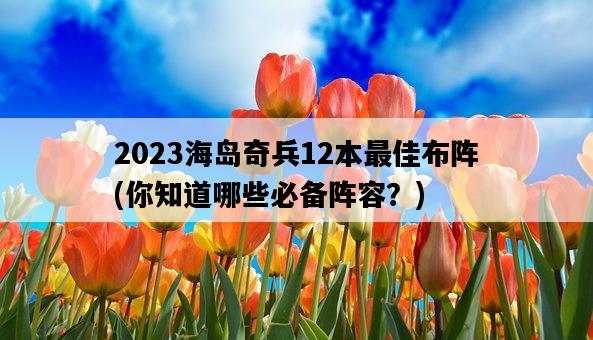 2023海島奇兵12本最佳布陣,你知道哪些必備陣容?-圖1 2023海島奇兵12本最佳布陣,你知道哪些必備陣容?-圖1