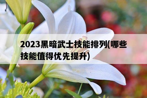2023黑暗武士技能排列，哪些技能值得優先提升-圖1
