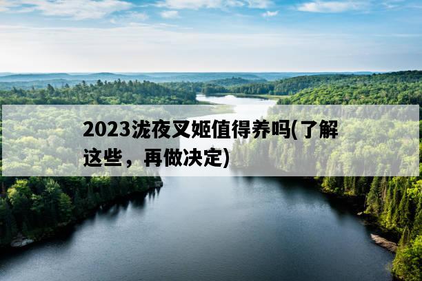 2023瀧夜叉姬值得養嗎，了解這些，再做決定-圖1
