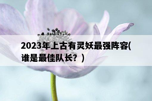 2023年上古有靈妖最強陣容，誰是最佳隊長？-圖1