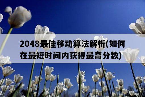 2048最佳移動算法解析，如何在最短時間內獲得最高分數-圖1