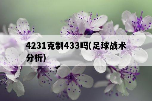 4231克制433嗎，足球戰術分析-圖1