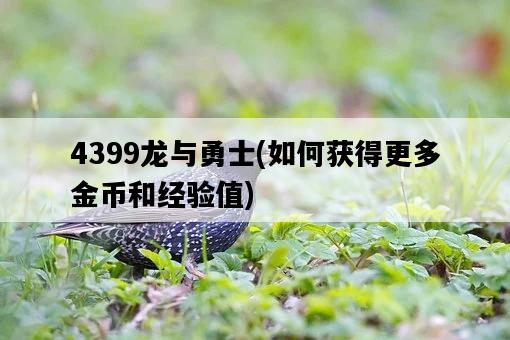 4399龍與勇士，如何獲得更多金幣和經驗值-圖1
