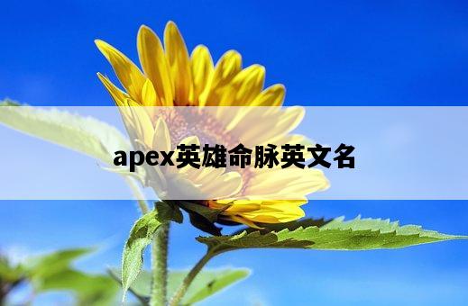 apex英雄命脈英文名-圖1