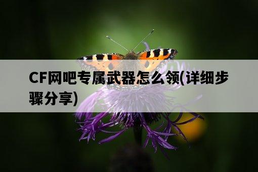CF網吧專屬武器怎么領，詳細步驟分享-圖1