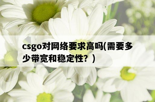 csgo對網絡要求高嗎，需要多少帶寬和穩定性？-圖1