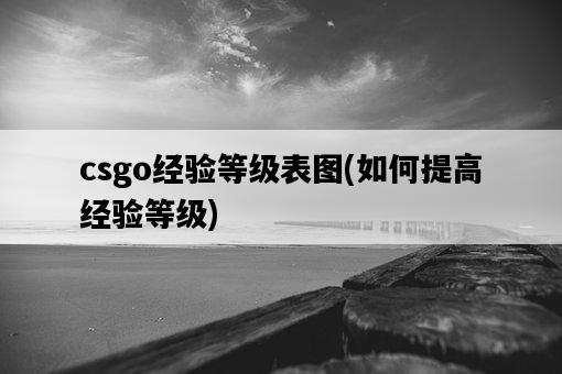 csgo經驗等級表圖,如何提高經驗等級-圖1 csgo經驗等級表圖,如何提高經驗等級-圖1
