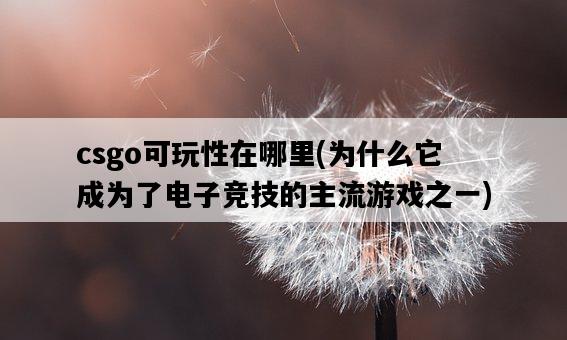 csgo可玩性在哪里,為什么它成為了電子競技的主流游戲之一-圖1 csgo可玩性在哪里,為什么它成為了電子競技的主流游戲之一-圖1