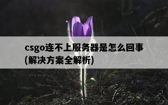 csgo連不上服務器是怎么回事，解決方案全解析-圖1