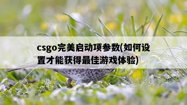 csgo完美啟動項參數,如何設置才能獲得最佳游戲體驗-圖1 csgo完美啟動項參數,如何設置才能獲得最佳游戲體驗-圖1