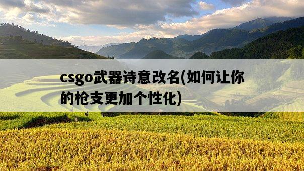 csgo武器詩意改名，如何讓你的**更加個性化-圖1