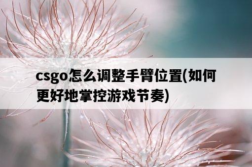csgo怎么調整手臂位置，如何更好地掌控游戲節奏-圖1