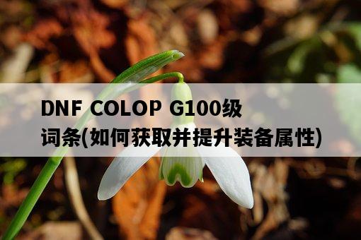 DNF COLOP G100級詞條，如何獲取并提升裝備屬性-圖1